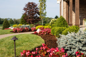 close up image of front home landscaping